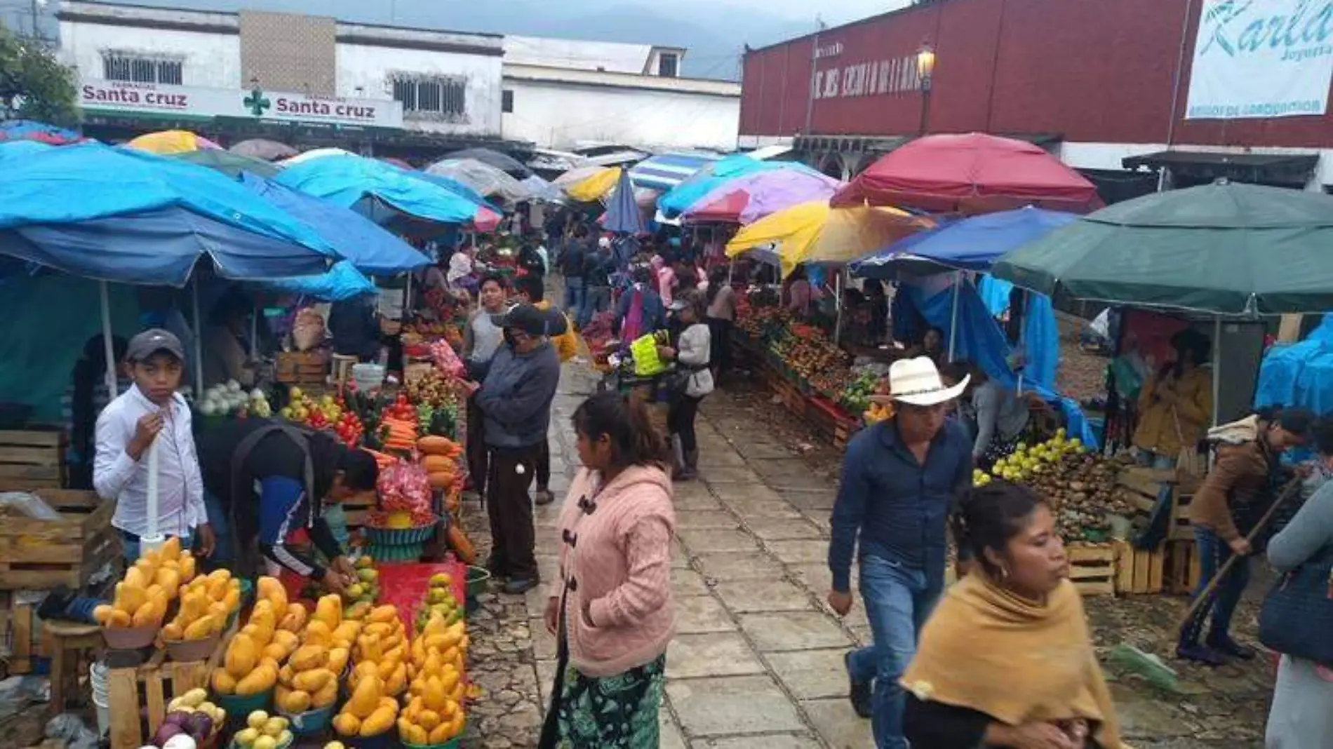 mercado sna cristóbal